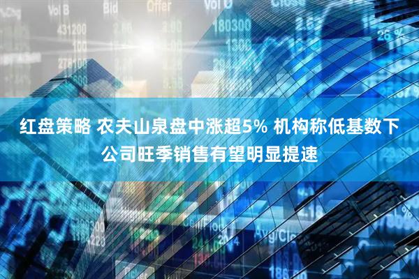 红盘策略 农夫山泉盘中涨超5% 机构称低基数下公司旺季销售有望明显提速