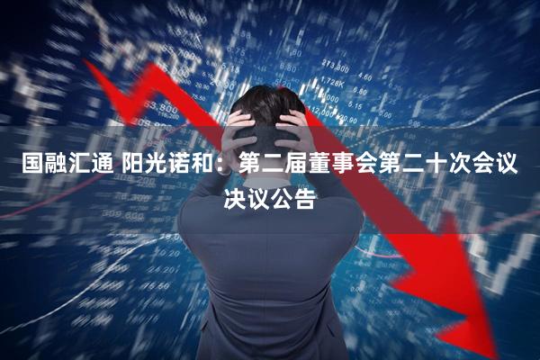 国融汇通 阳光诺和：第二届董事会第二十次会议决议公告