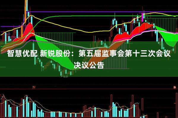 智慧优配 新锐股份：第五届监事会第十三次会议决议公告