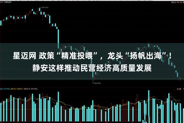 星迈网 政策“精准投喂”，龙头“扬帆出海”！静安这样推动民营经济高质量发展