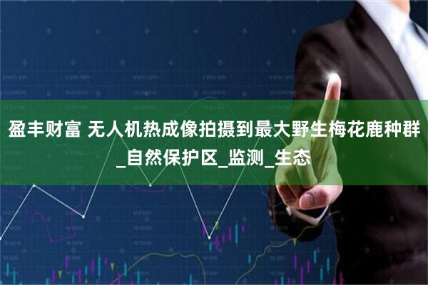 盈丰财富 无人机热成像拍摄到最大野生梅花鹿种群_自然保护区_监测_生态