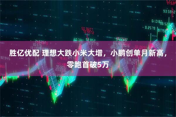 胜亿优配 理想大跌小米大增，小鹏创单月新高，零跑首破5万