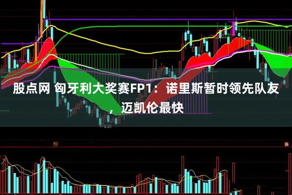 股点网 匈牙利大奖赛FP1：诺里斯暂时领先队友，迈凯伦最快