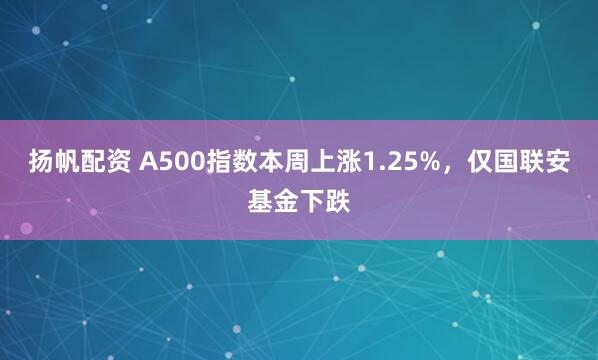 扬帆配资 A500指数本周上涨1.25%，仅国联安基金下跌