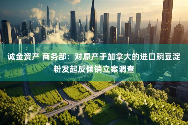 诚金资产 商务部：对原产于加拿大的进口豌豆淀粉发起反倾销立案调查