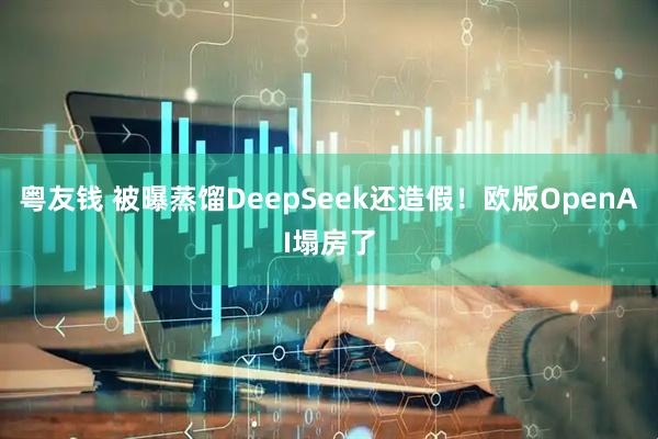 粤友钱 被曝蒸馏DeepSeek还造假！欧版OpenAI塌房了