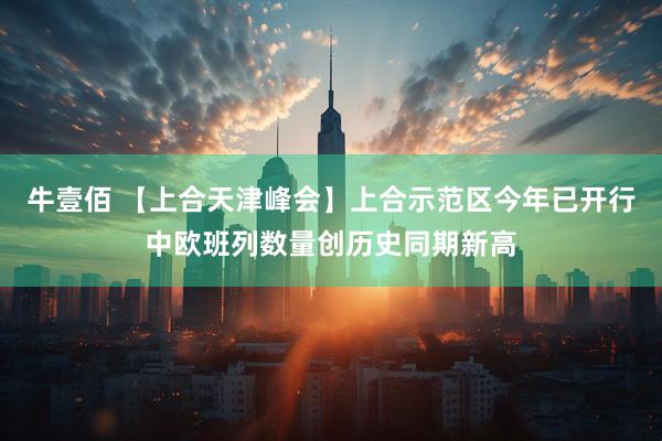 牛壹佰 【上合天津峰会】上合示范区今年已开行中欧班列数量创历史同期新高